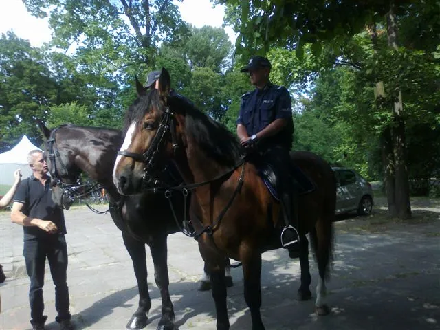 Święto Policji — archiwum Right Riders, 2013