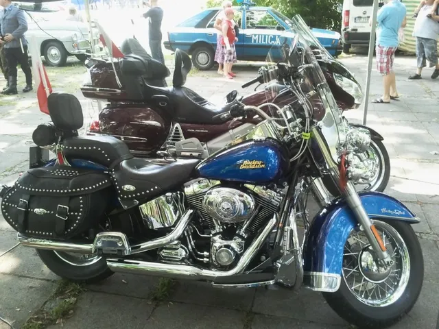 Święto Policji - Agrykola — archiwum Right Riders, 2014