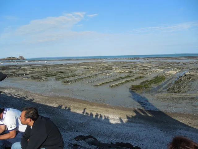 U przyjaciół we Francji — archiwum Right Riders, 2014