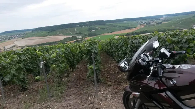 Francja — archiwum Right Riders, 2016
