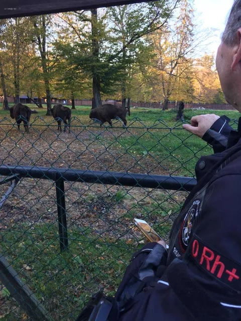 Weekend w Białowieży — archiwum Right Riders, 2018